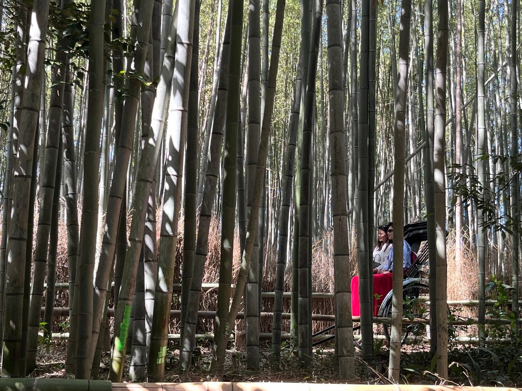 Un e-book reader è per&nbsp;sempre